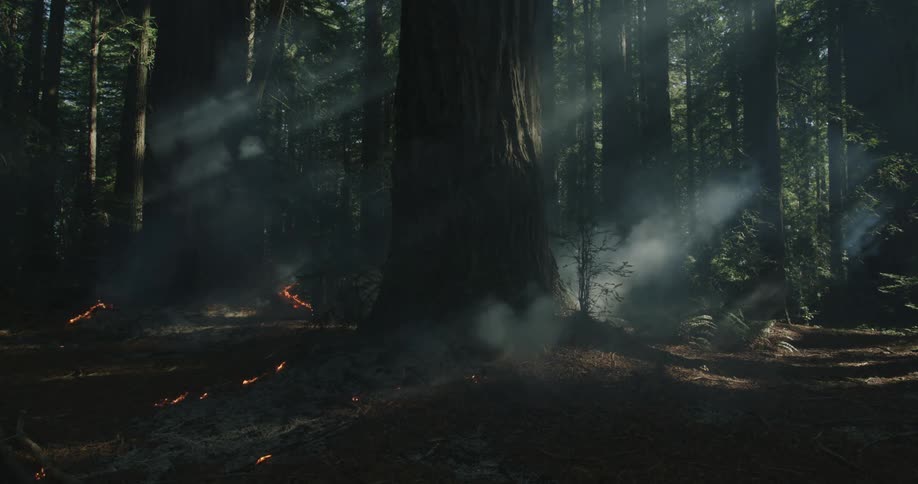 A view of a fire burning outdoors