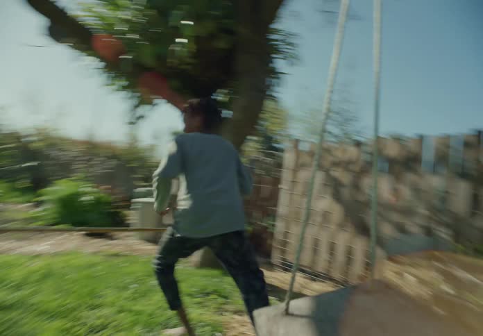 Brothers run and play in yard on sunny day
