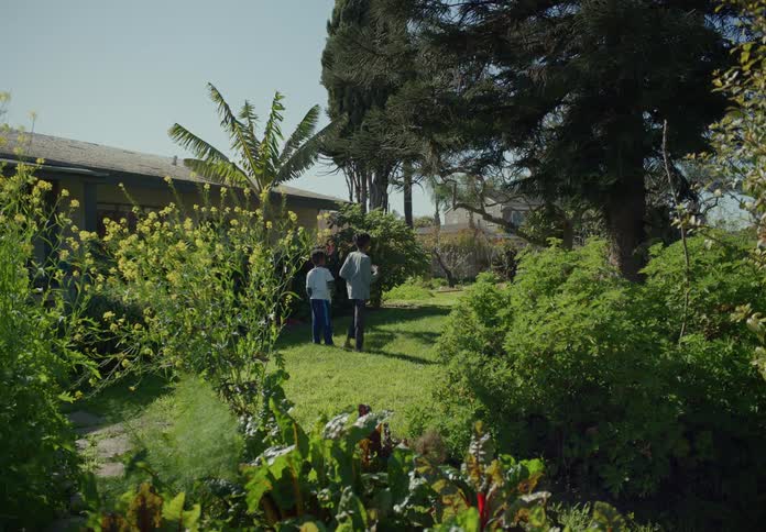 Two boys playing in their backyard throwing in the grass behind their house
