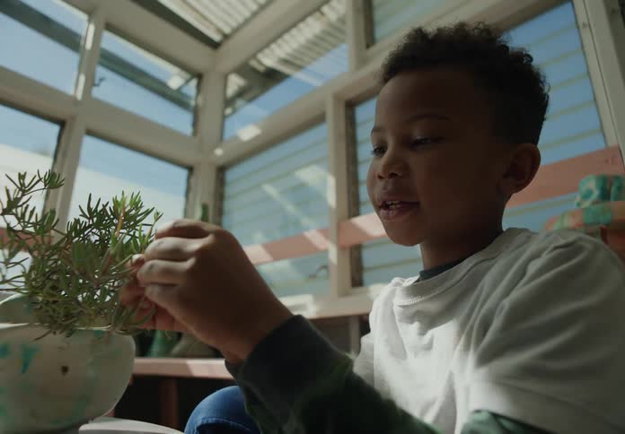 Boy plucks flower from houseplant in sunroom