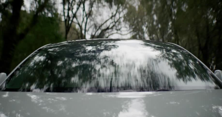 Trees above reflect off the windshield of a vehicle driving through the forest