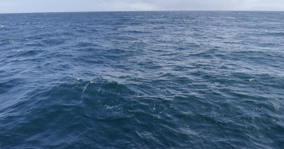 The water below is rough and blue