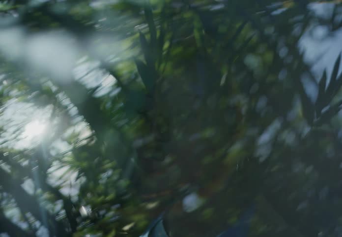 A persons reflection in a window with plants and trees in the reflection as well