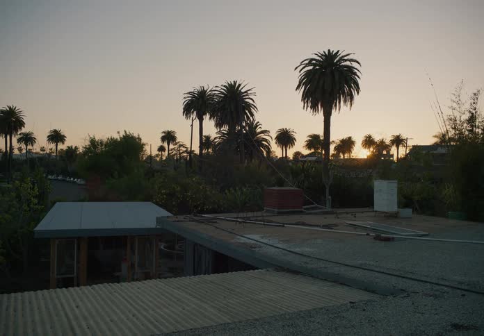 Palm trees are around the home