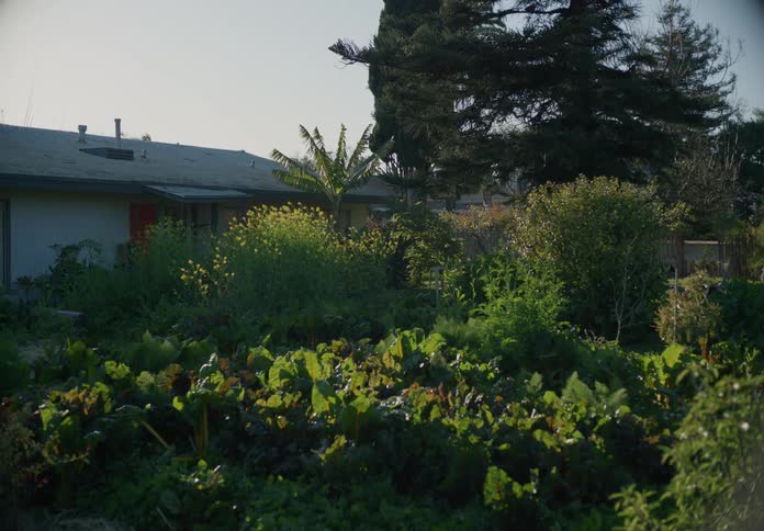 Woman emerges from house and pushes through plants in garden