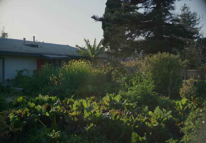 A lush back yard with plants and trees as a woman walks through the plants
