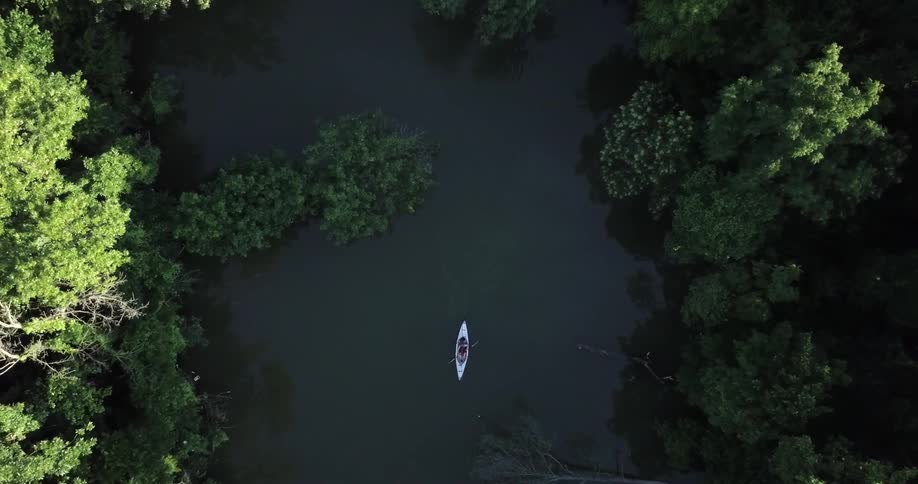 A kayak paddles down a river surrounded by trees