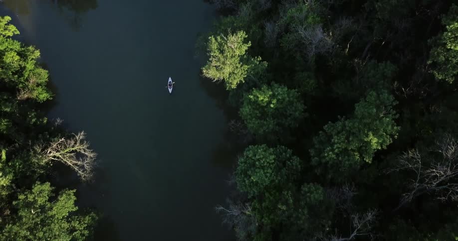 Aerial view of person kayaking down a tree lined river
