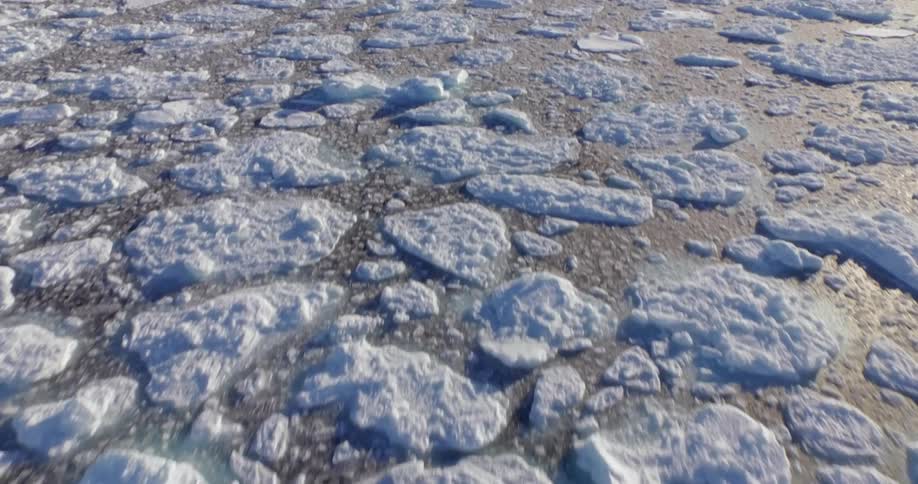 Antarctica
