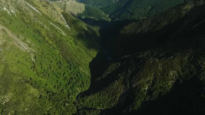 Vegetation grows along the side of a canyon