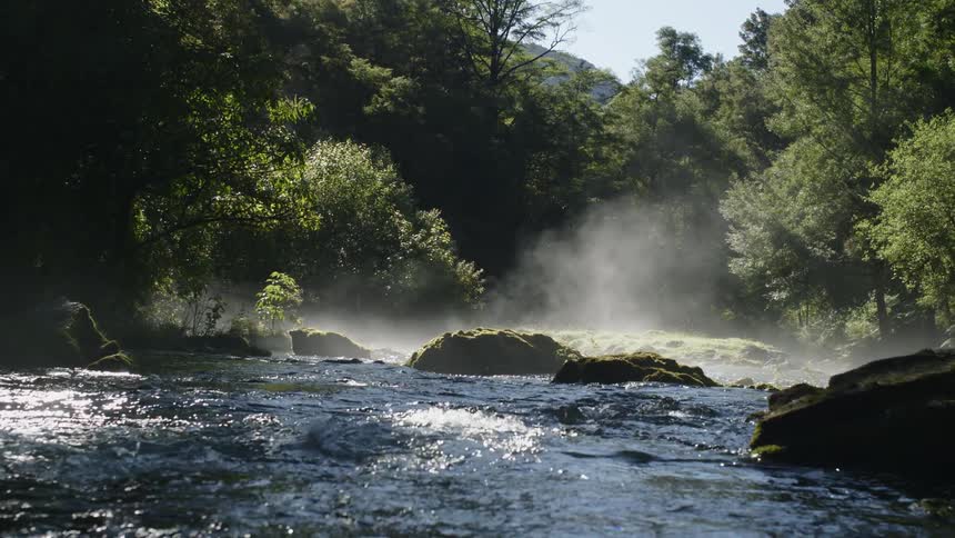 A river flowing with large rocks in it with dense tree forests on either side