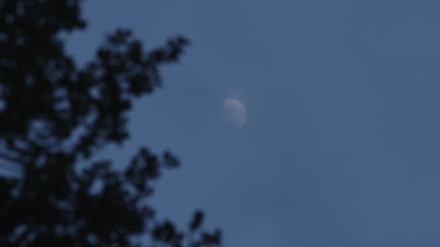Clouds move across the moon as it glows in a blue sky near a tree