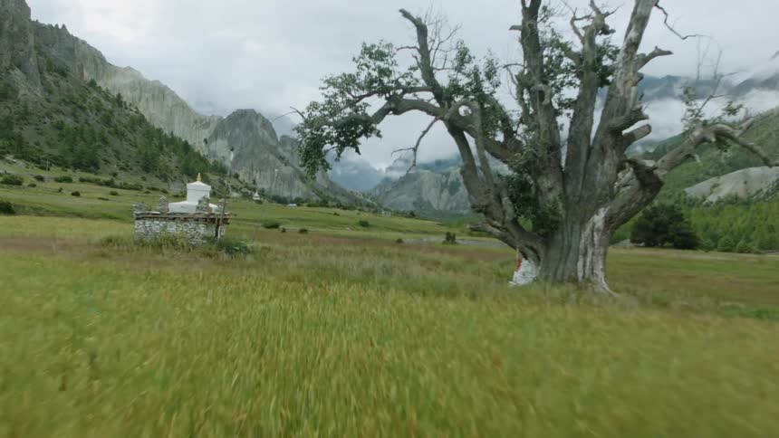 Drone Flyover: Cyclists Crossing Grassy Plain with Mountain Backdrop
