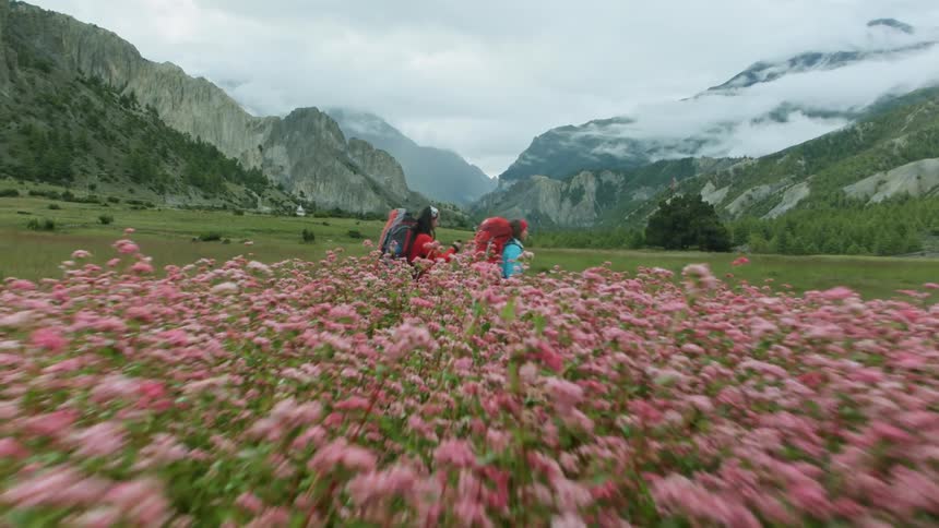 Backpackers Walking through Wildflowers with Mountain Views