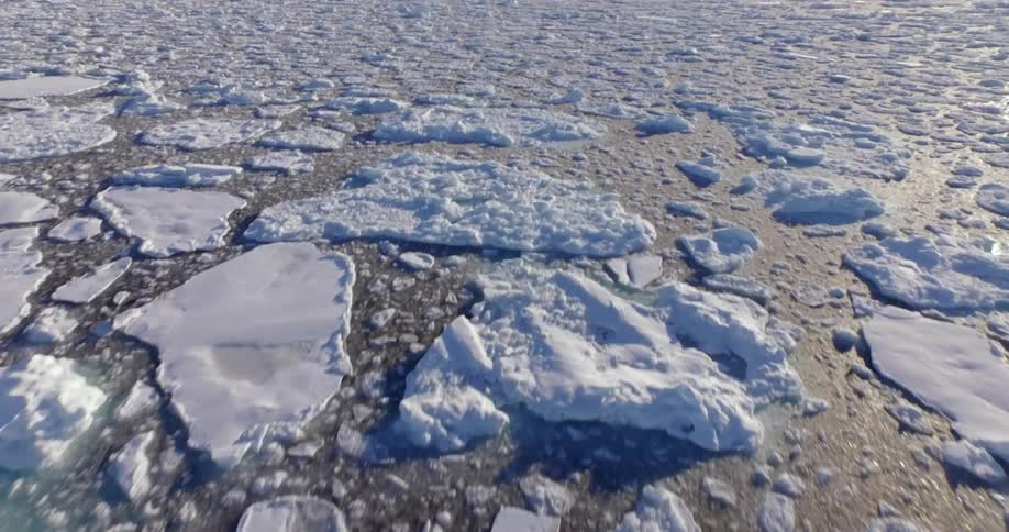 Antarctica