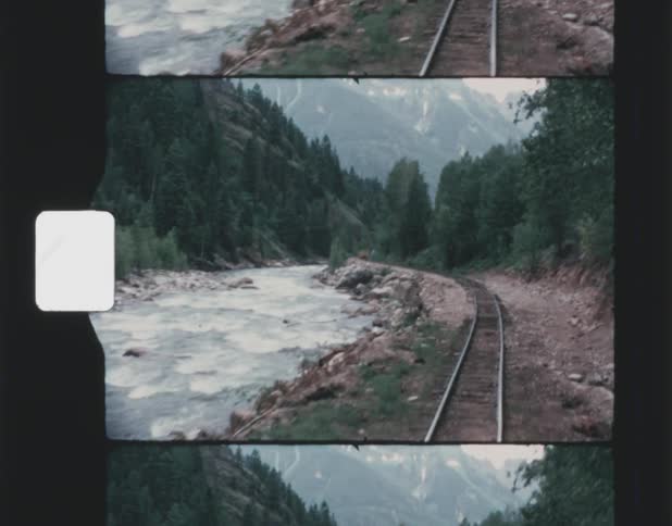 A railway alongside a river through a forest during the day