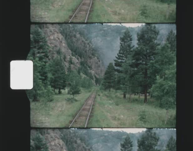 Train tracks traveling through a dense forest at the bottom of a mountain
