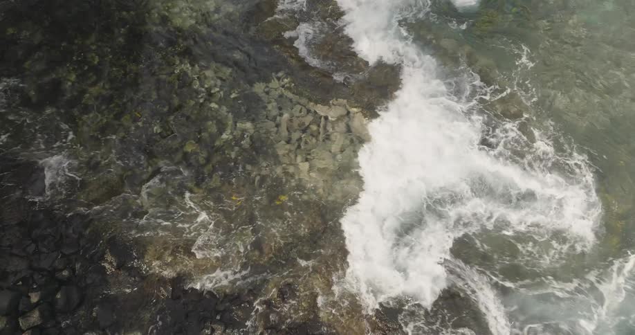 Birds eye view of fish swimming in the water