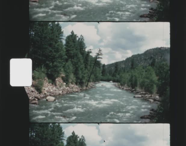 Landscape of river flowing next to green forest