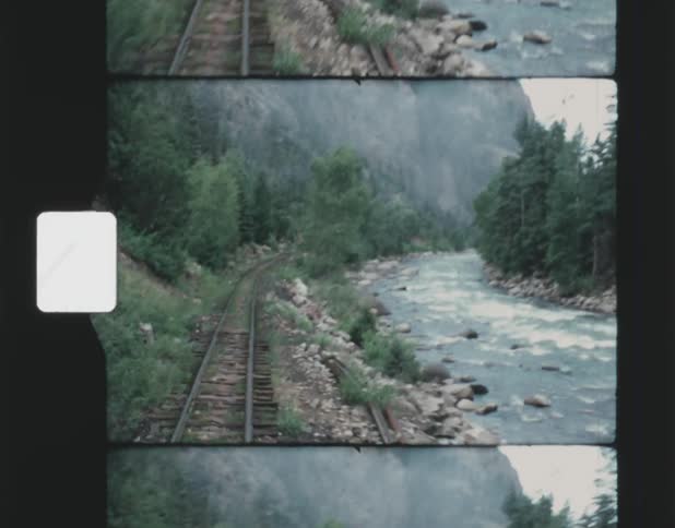 A view of train tracks a river and an evergreen forest from the back of a train car