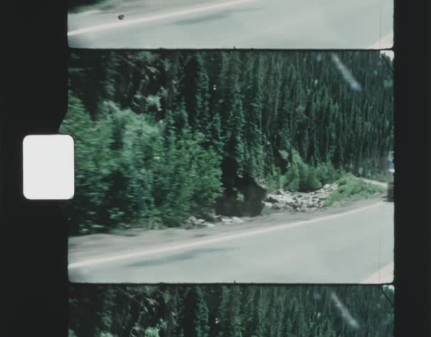 Vehicles drive along a curved highway past a canyon