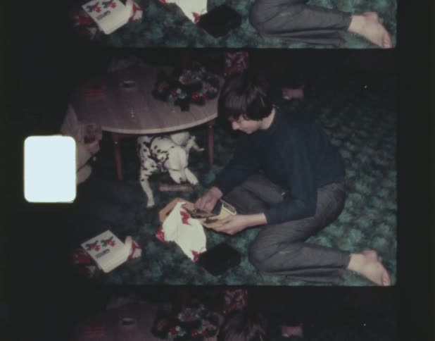 Two people playing with a dog