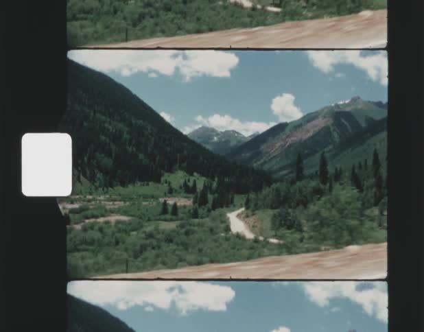 The forest is before the mountains