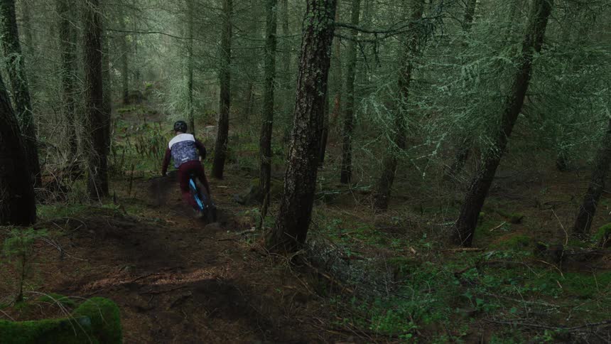 A cyclist rides through a forest