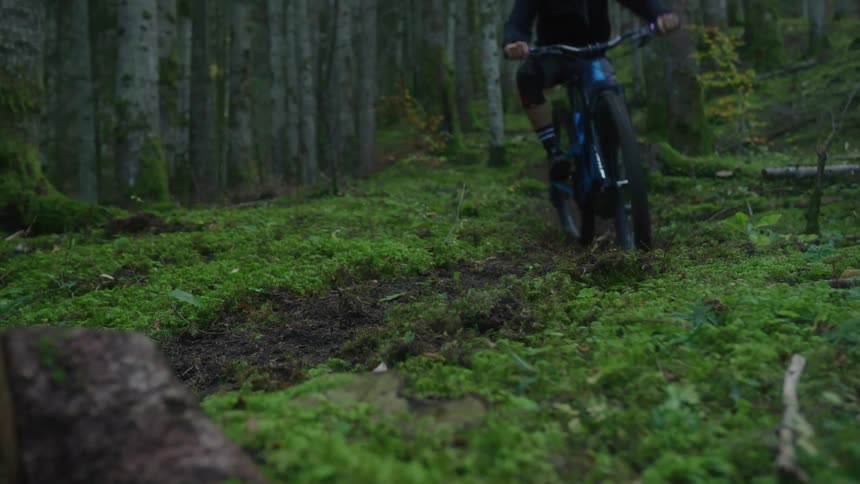 A man is riding a dirt bike through a wooded area