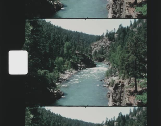 A river runs through a dense forest