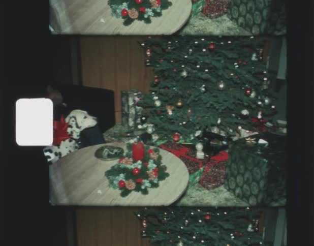 Teenage boy sitting on couch next to dalmatian dog and christmas tree with presents in the living room