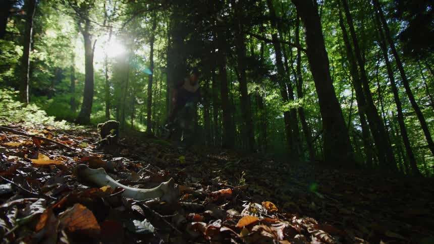 A person riding a mountain bike in a forest on a summer day