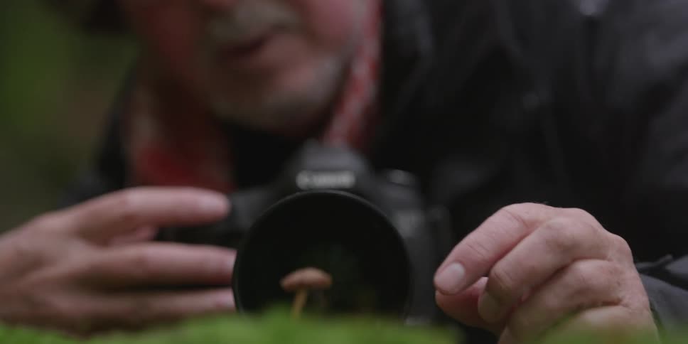 A man is looking at a camera