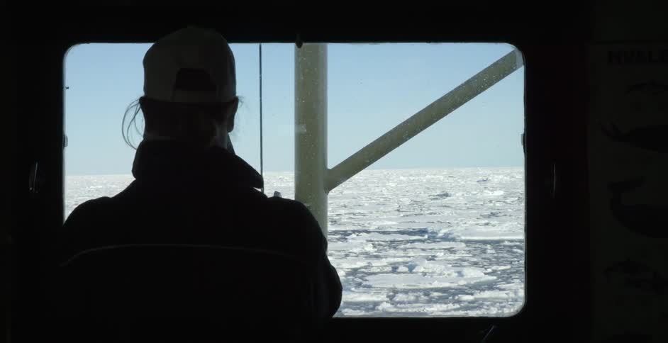 A person is looking out the window of a sailing ship