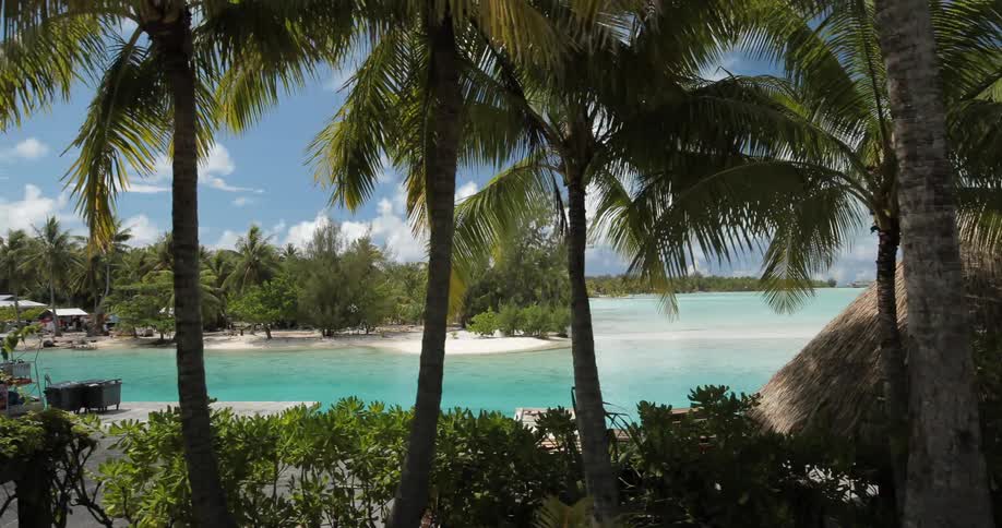 Trees line this resort with blue water