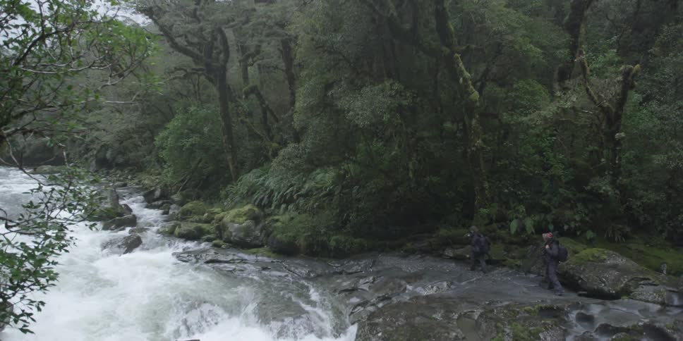 A large stream is lined with trees