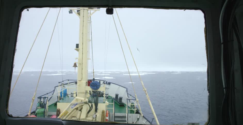 A bird flies past a boat sailing in icy waters