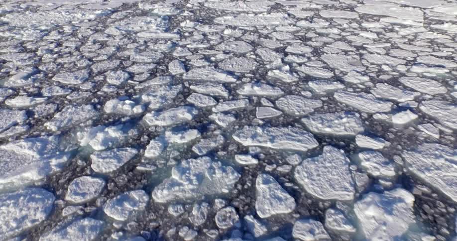 Chunks of ice in a body of water