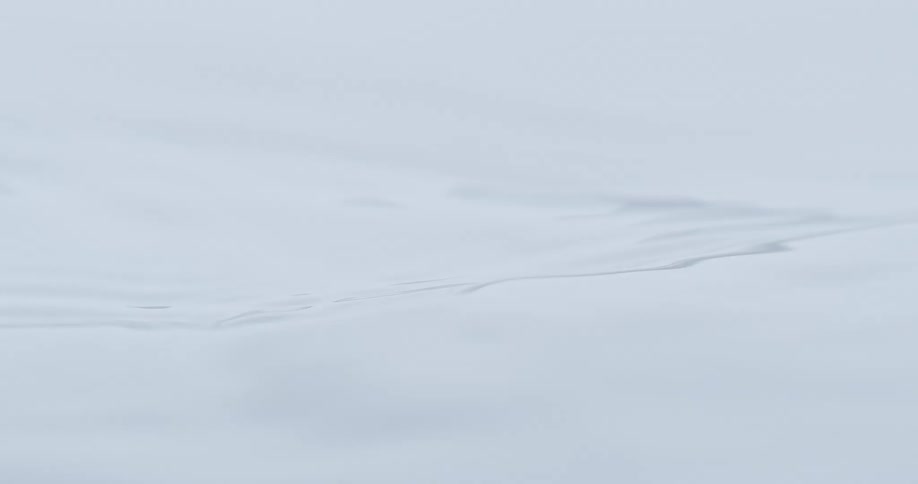 Liquid white substance of white