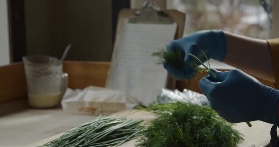 A person wearing blue gloves pulling leaves off of the stem of a green plant and placing it in the pile in front of them
