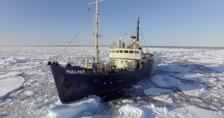 A large ship is in icy waters