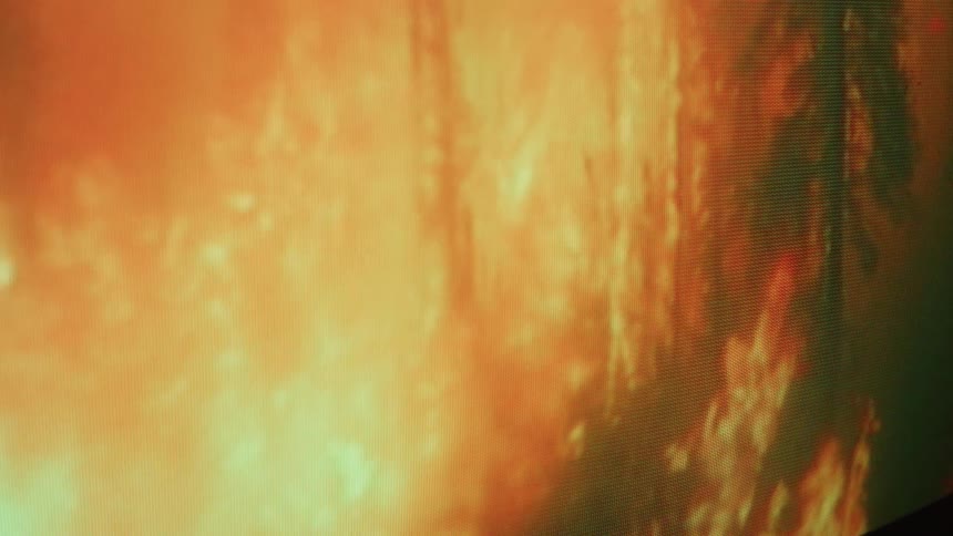 A close up of a television screen displaying a forest fire burning trees