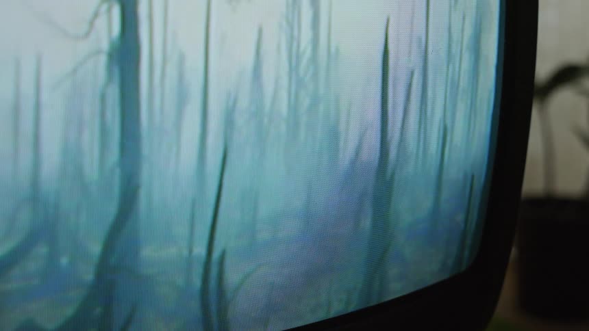 Close up of television screen showing burnt forest
