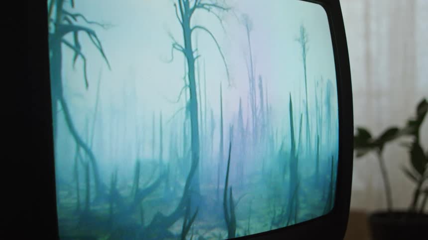 A vintage television screen close up with a burnt forest on the screen