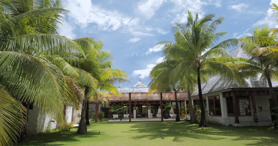 Palm trees in a courtyard of a plaza