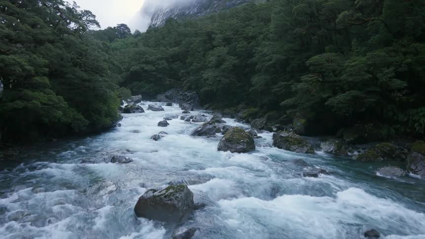 A rocky river in a forest