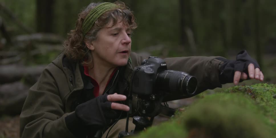 A photographer sets up a shot in a forest