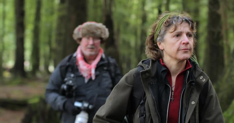 Two photographers hike through a forest