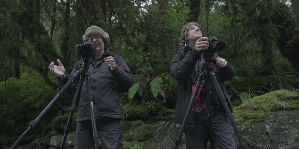 A man and woman use cameras together near a forest
