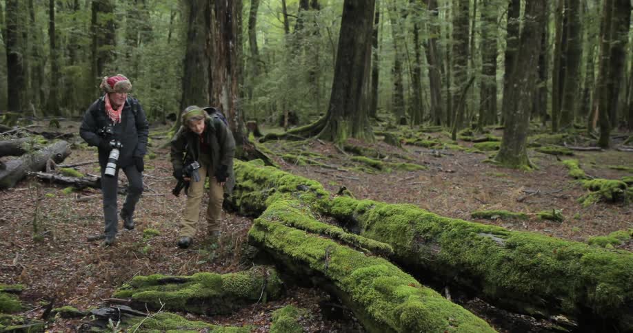 Two people walk over to a moss covered fallen tree